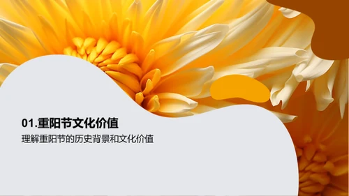 重阳节 老年市场新突破