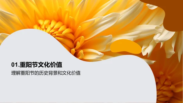 重阳节 老年市场新突破