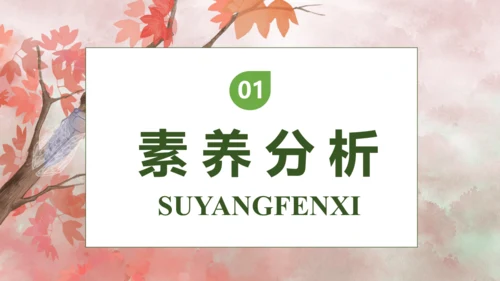 【核心素养】部编版语文二年级下册-9. 枫树上的喜鹊 第1课时（课件）