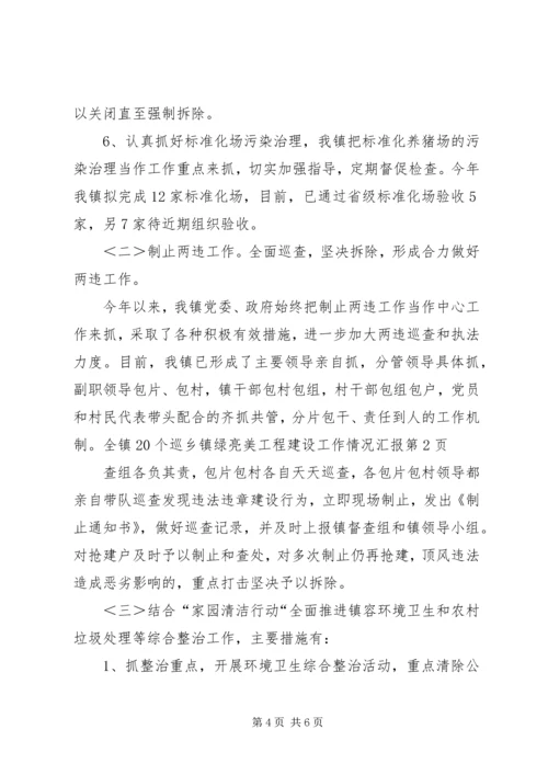 乡镇绿亮美工程建设工作情况汇报.docx