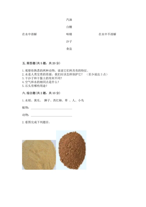 苏教版一年级下册科学期末测试卷（名师推荐）.docx