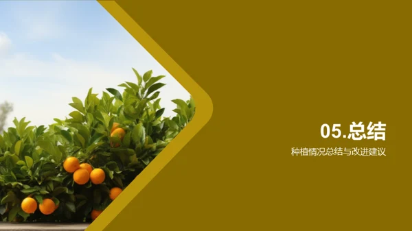 柑橘产业赋能：挑战与战略