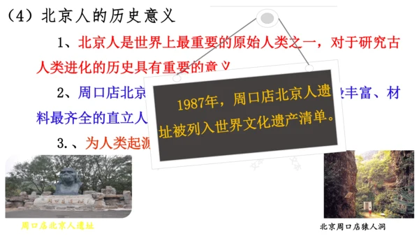 第1课 中国境内早期人类的代表—北京人  课件