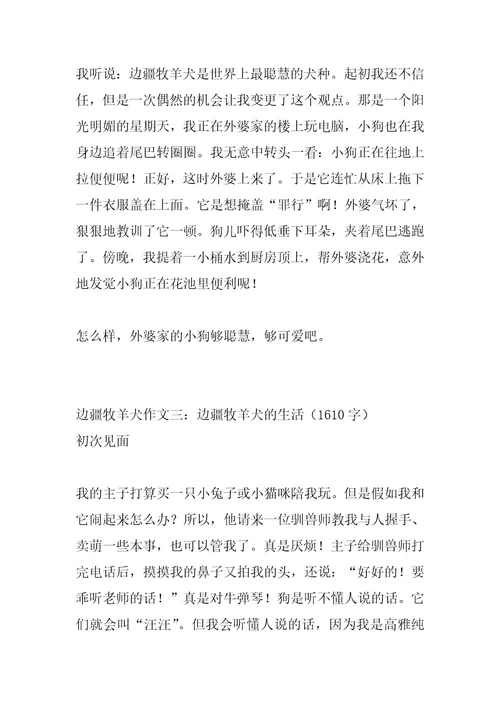 2022年边境牧羊犬作文