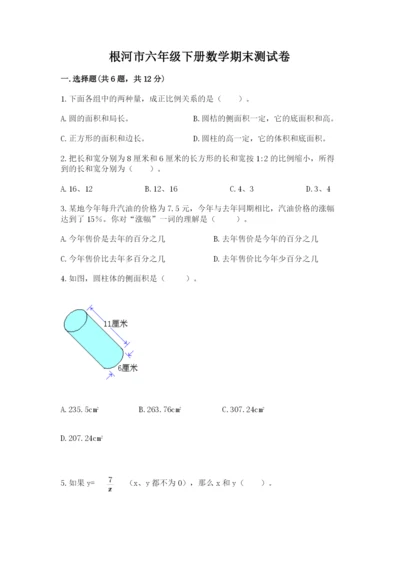 根河市六年级下册数学期末测试卷及完整答案一套.docx
