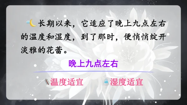 13《花钟》（课件）