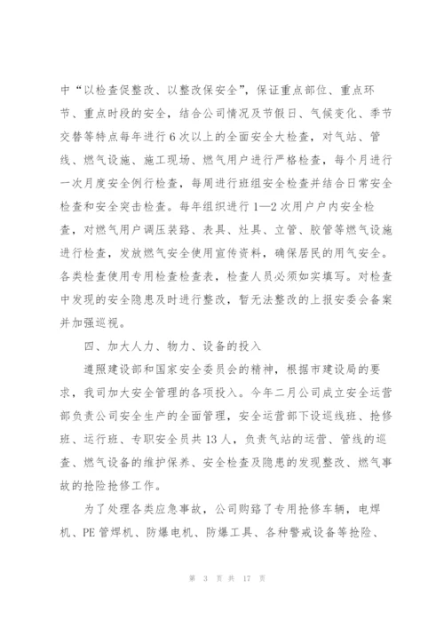 天然气公司个人总结5篇.docx