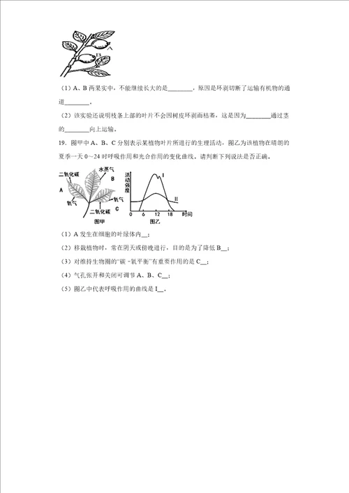 第四章植物的物质和能量转化练习华东师大版科学八年级上册