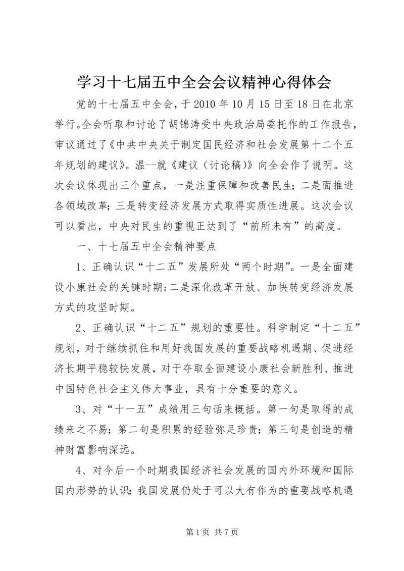 学习十七届五中全会会议精神心得体会.docx