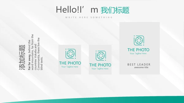 简约大方中国农业银行工作总结动态PPT