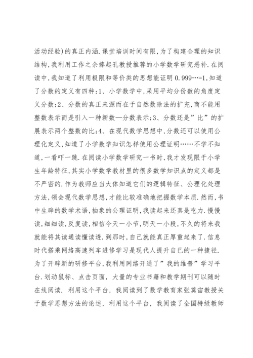 农村小学数学骨干教师培训研修总结.docx