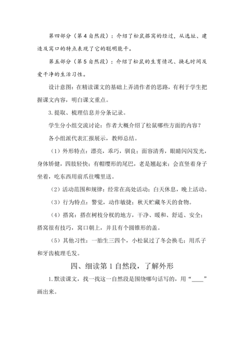 17 松鼠 教案