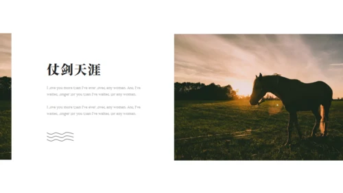马场名马通用PPT模板