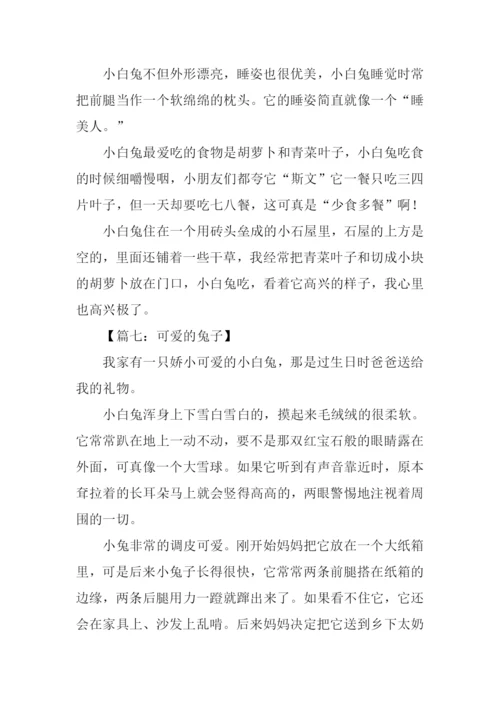 可爱的兔子作文300字.docx