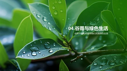 谷雨季节，引领绿色生活