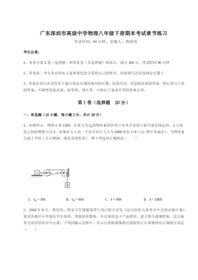 强化训练广东深圳市高级中学物理八年级下册期末考试章节练习试卷（含答案详解版）.docx