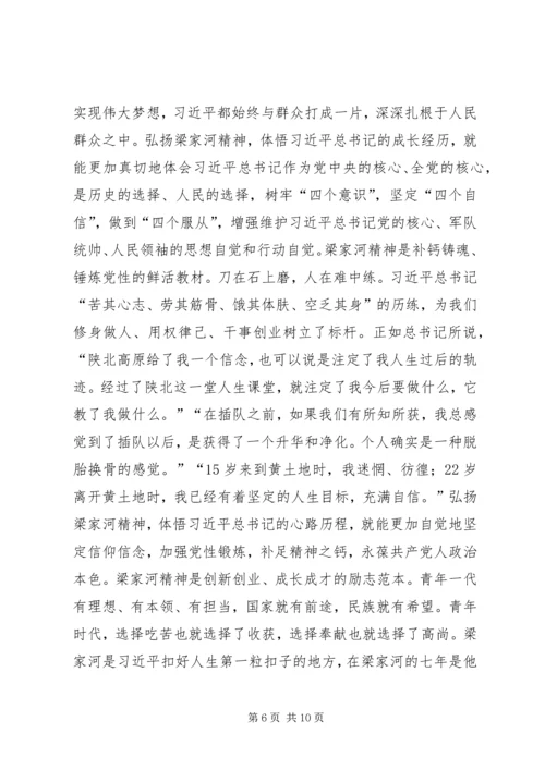 学习梁家河精神材料.docx