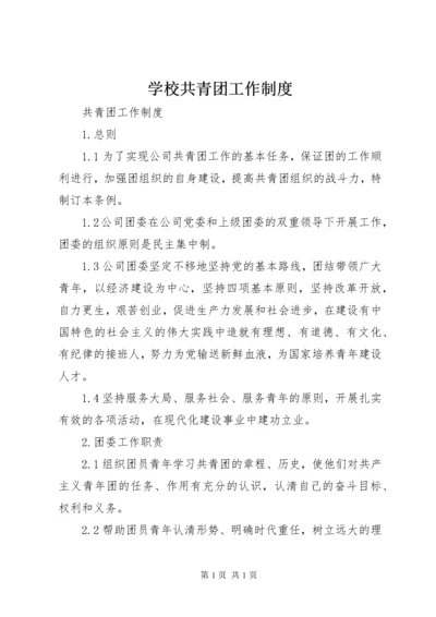 学校共青团工作制度.docx