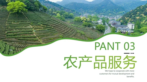 绿色乡村文化旅游新农村建设农业PPT模板