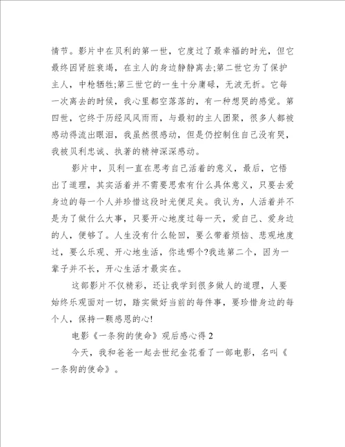 电影一条狗的使命观后感心得