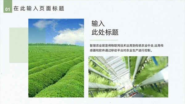 智慧农业禾苗水稻通用PPT模板