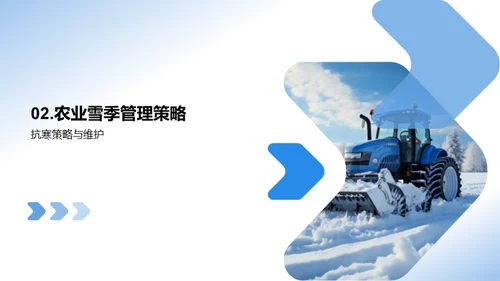 农业雪季策略指导