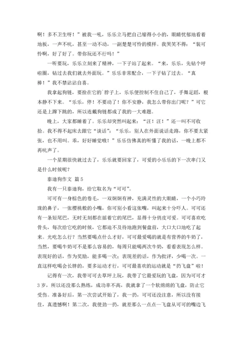 泰迪狗作文锦集七篇.docx