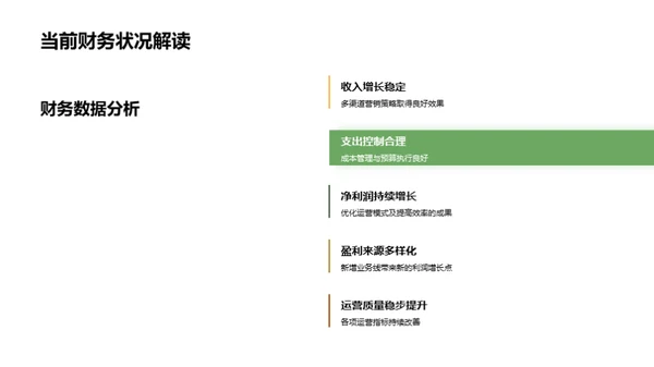 财务回顾与未来规划