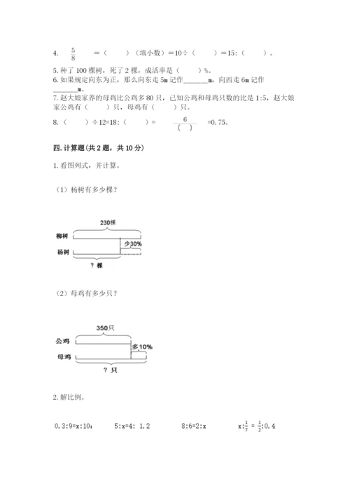 北京版六年级下册数学期末测试卷【考点梳理】.docx