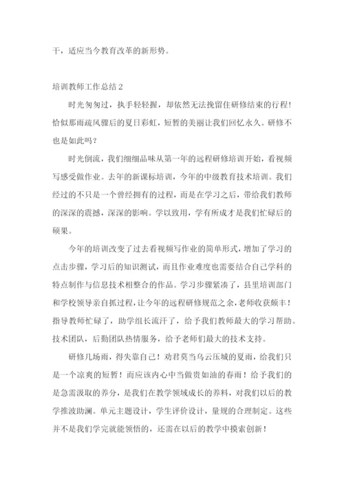 培训教师工作总结.docx