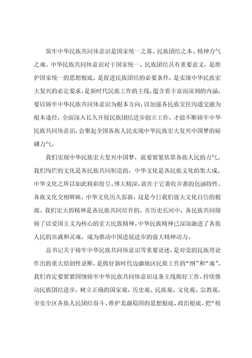 学习筑牢中华民族共同体意识研讨材料