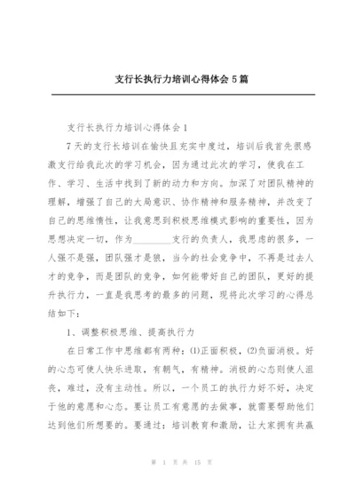 支行长执行力培训心得体会5篇.docx