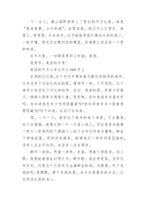 美丽的冬天小学生作文600字范文.docx