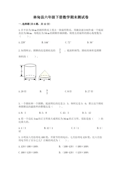 林甸县六年级下册数学期末测试卷（典优）.docx