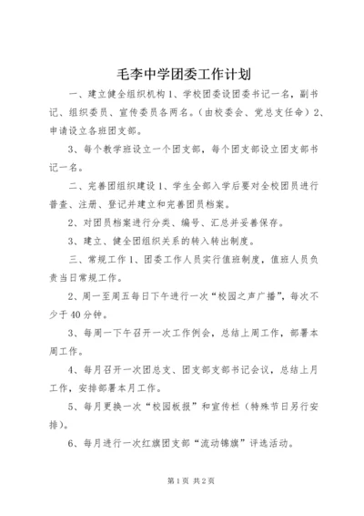 毛李中学团委工作计划.docx