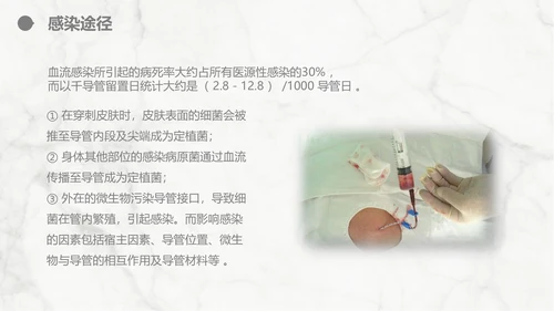集束化干预在静脉导管相关血流感染的应用PPT模板