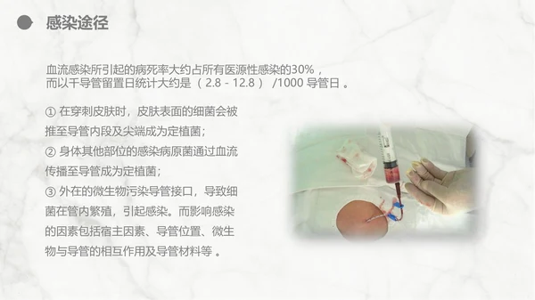 集束化干预在静脉导管相关血流感染的应用PPT模板
