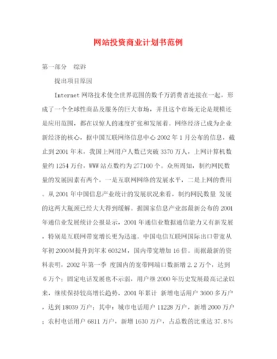 精编之网站投资商业计划书范例.docx