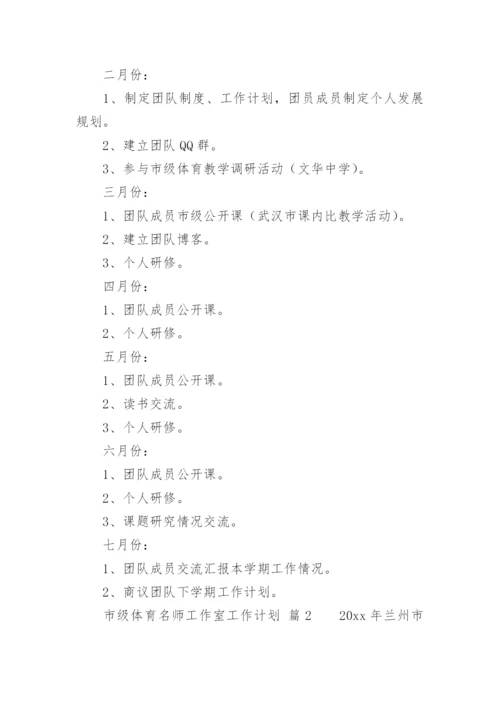 市级体育名师工作室工作计划.docx