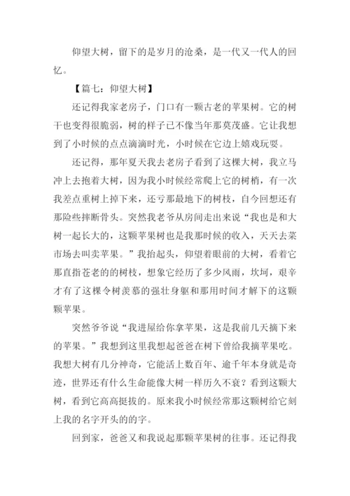 仰望大树作文600字借物抒情.docx