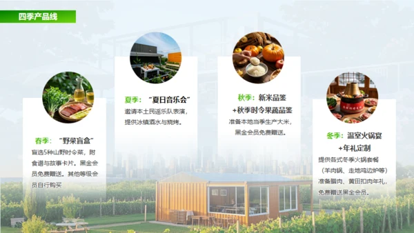 新城市农家小院策划案通用PPT