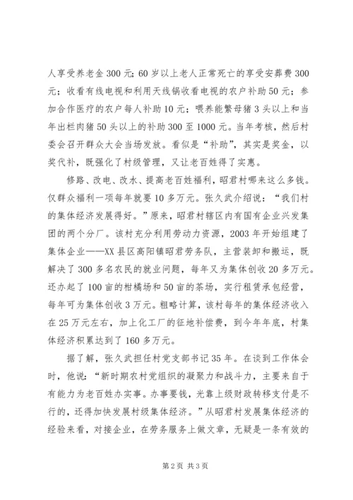 壮大集体经济富民调研报告 (2).docx