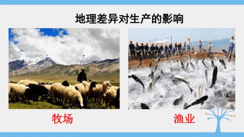 5.0 中国的地理差异（课件30张）-2024-2025学年人教版地理八年级下册