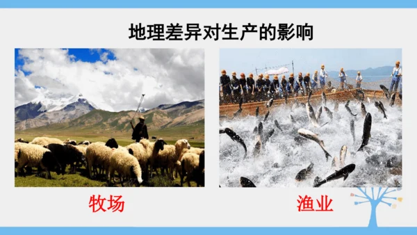 5.0 中国的地理差异（课件30张）-2024-2025学年人教版地理八年级下册