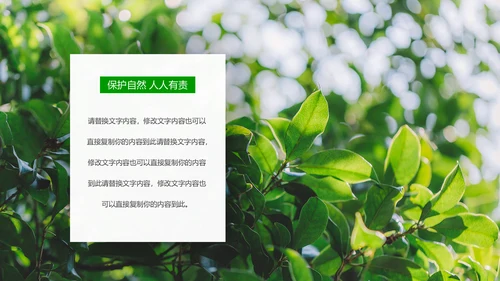 绿色环保森林生态文明建设森林日环保PPT模板