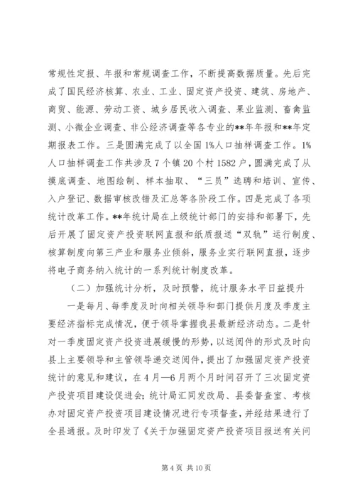 统计局工作总结和工作计划精编.docx