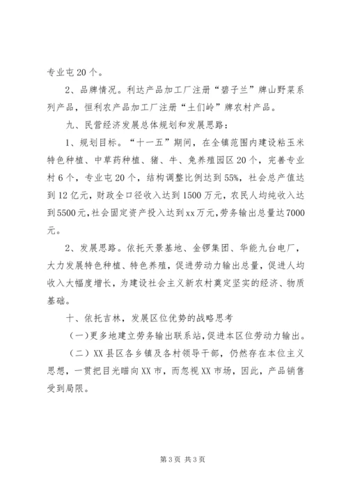乡镇经济发展战略的调研报告.docx