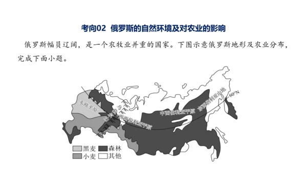 第七章 我们邻近的地区和国家（2）（串讲课件67张）-七年级地理下学期期末考点大串讲（人教版）