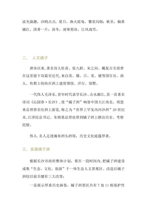 婚庆公司综合项目书.docx
