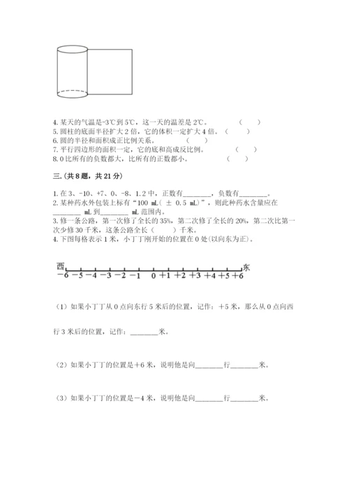 西师大版数学小升初模拟试卷精品【精选题】.docx